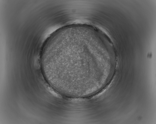 X0000091921018200709261637