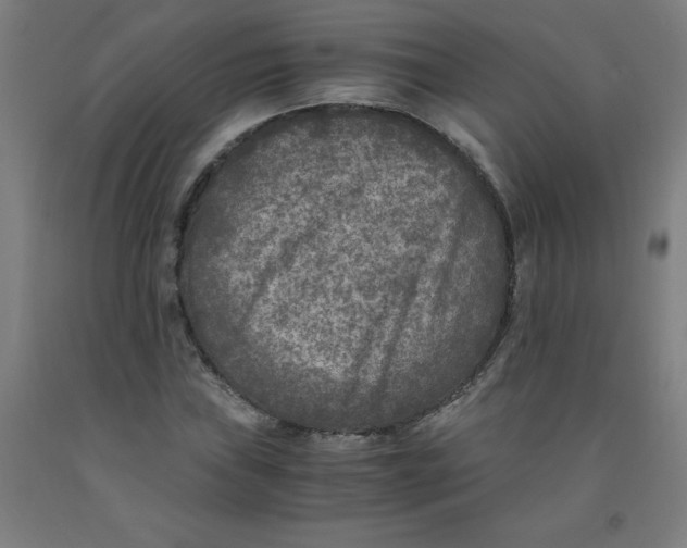 X0000091921019200709261637