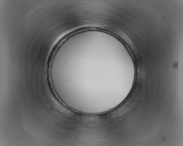 X0000091921020200709261637