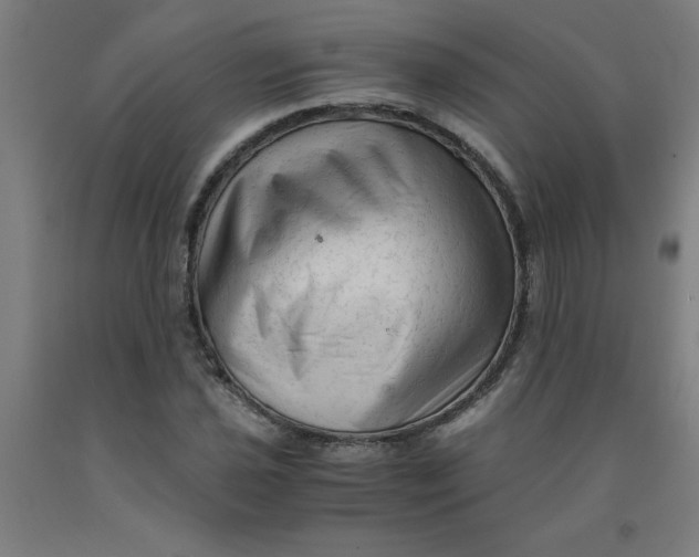 X0000091921021200709261637