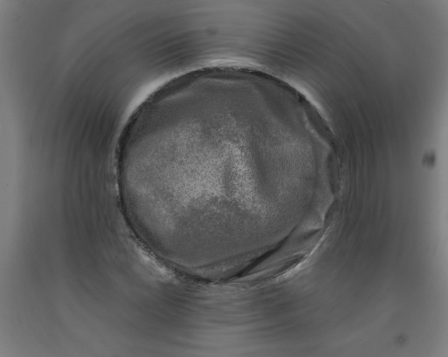 X0000091921022200709261637