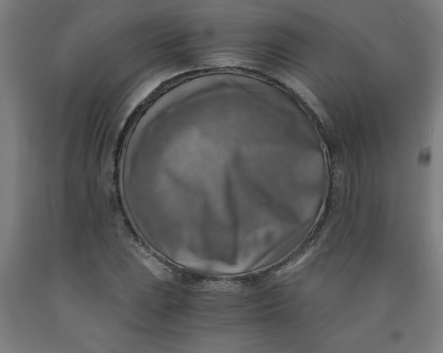 X0000091921023200709261637