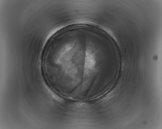 X0000091921024200709261637