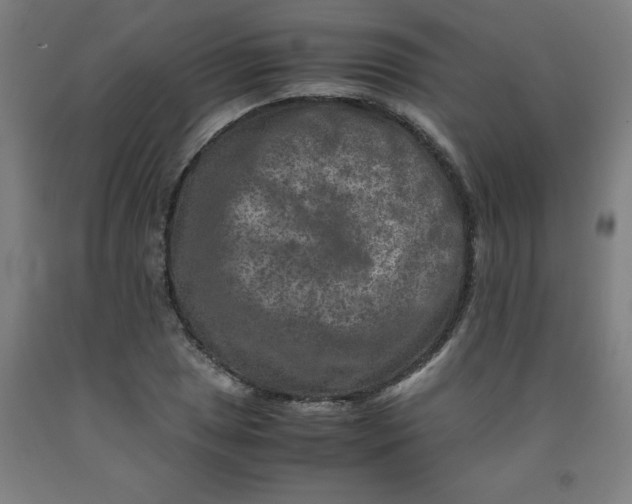 X0000091921025200709261637