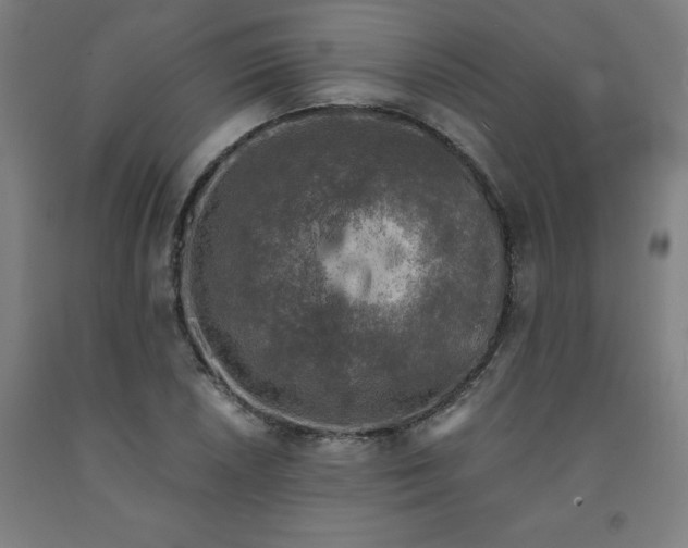 X0000091921026200709261637