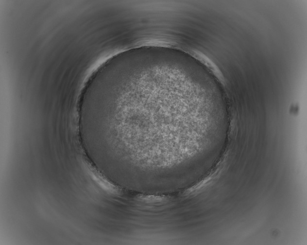 X0000091921027200709261637