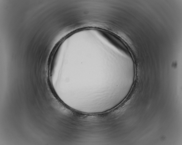 X0000091921028200709261637