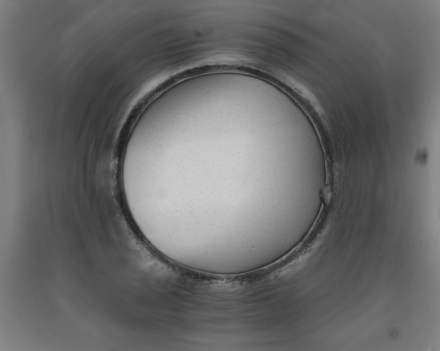 X0000091921029200709261637