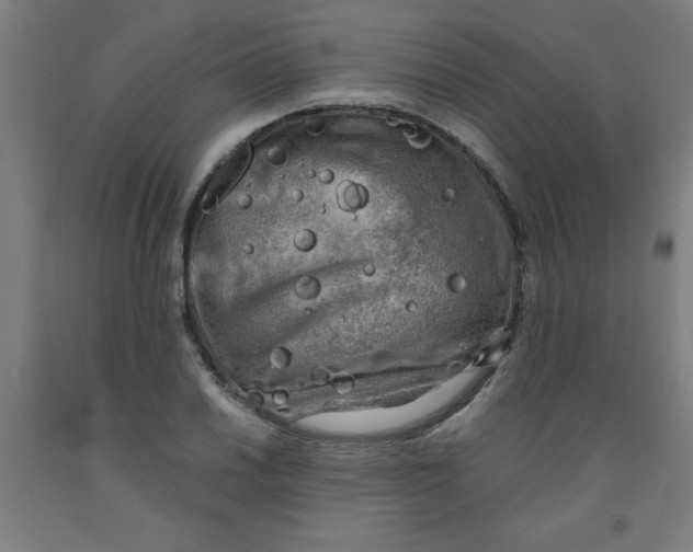 X0000091921030200709261637