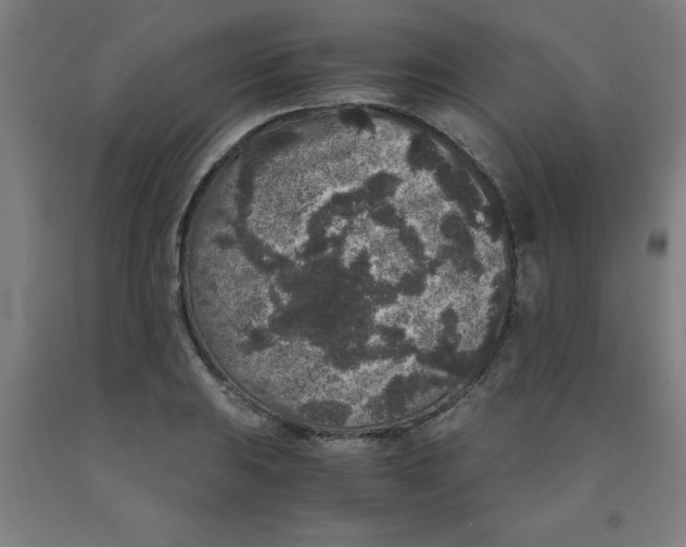 X0000091921031200709261637