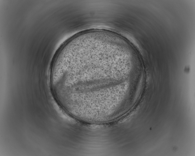 X0000091921032200709261637