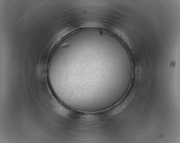 X0000091921033200709261637