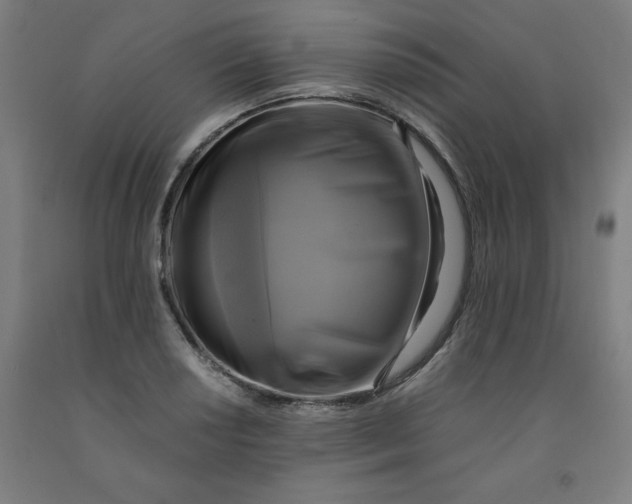 X0000091921034200709261637