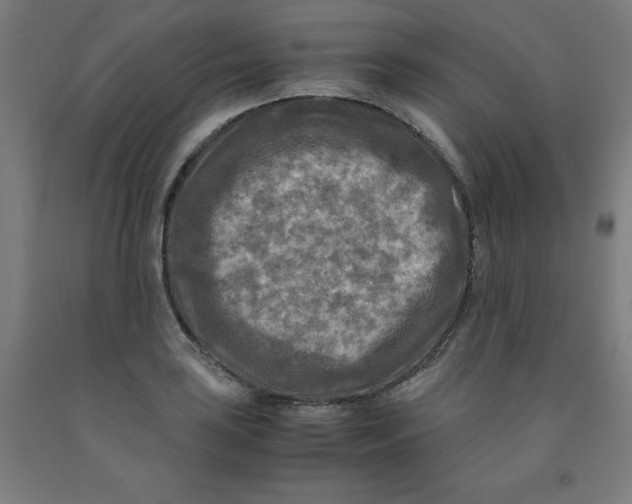 X0000091921035200709261638