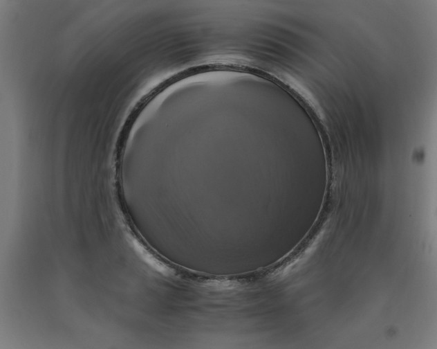 X0000091921037200709261638