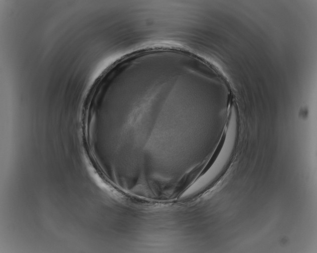 X0000091921038200709261638