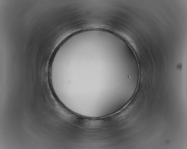 X0000091921039200709261638