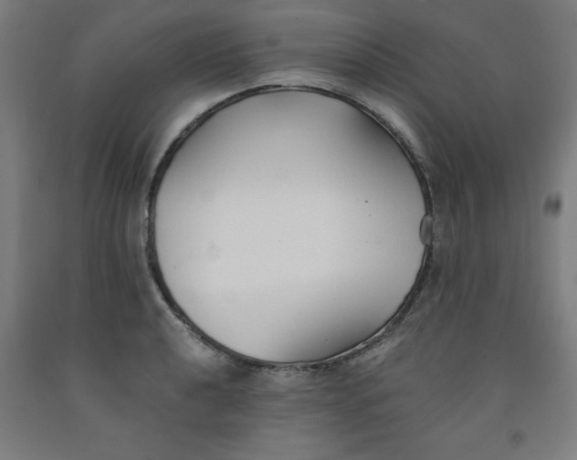 X0000091921040200709261638