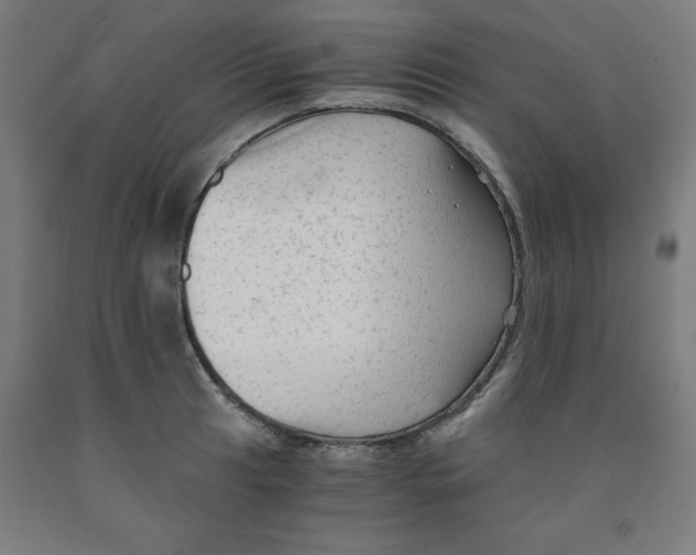 X0000091921041200709261638