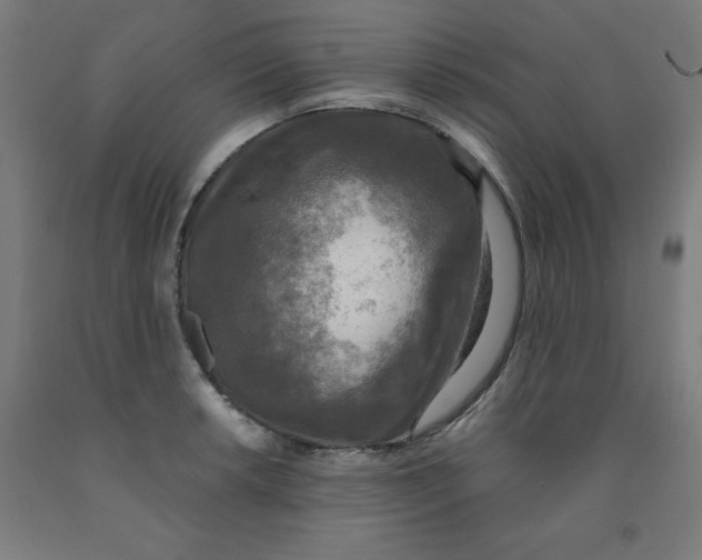 X0000091921042200709261638