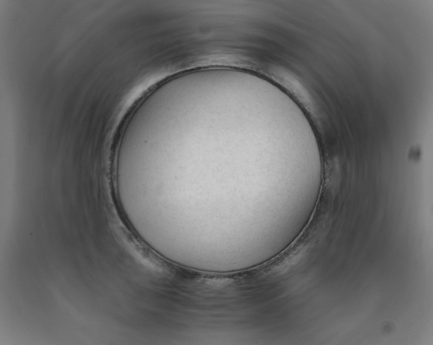 X0000091921043200709261638