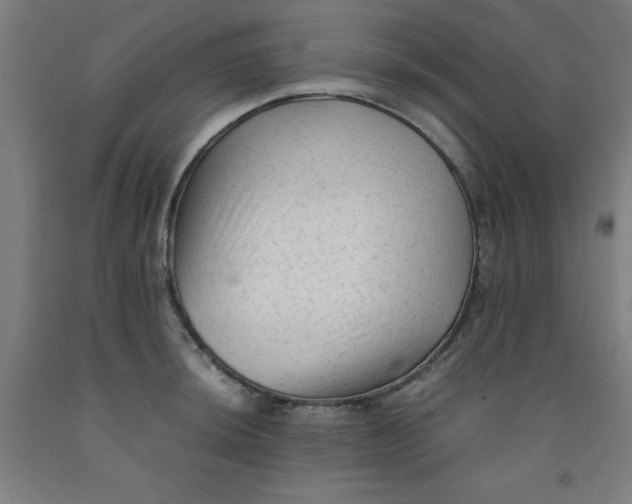 X0000091921044200709261638