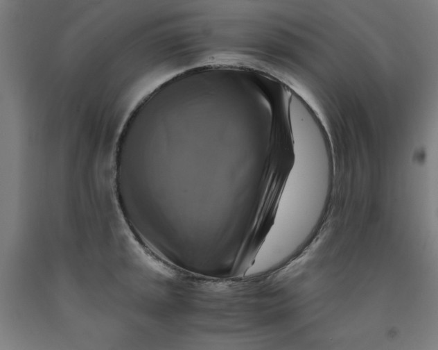 X0000091921045200709261638