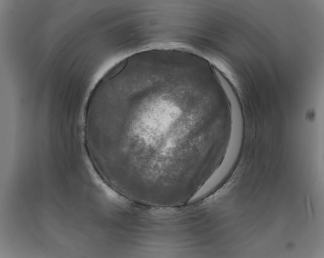 X0000091921046200709261638