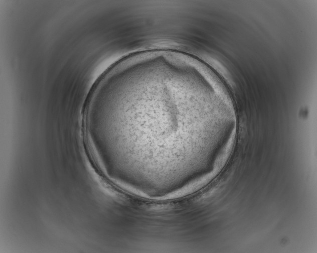 X0000091921047200709261638