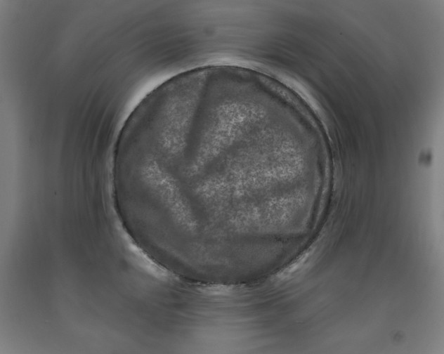 X0000091921048200709261638