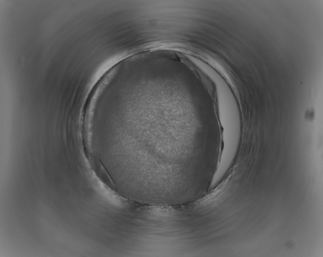 X0000091921050200709261638