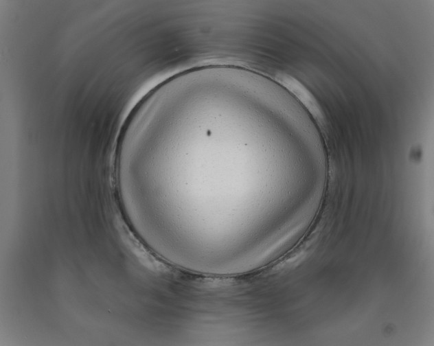 X0000091921052200709261638