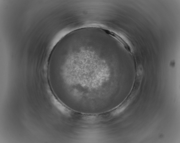 X0000091921054200709261638