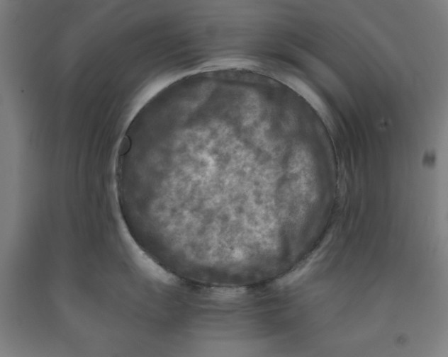 X0000091921055200709261638