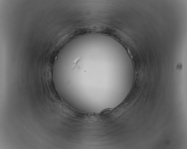 X0000091921058200709261637