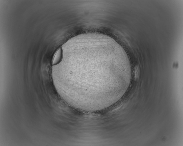 X0000091921059200709261637