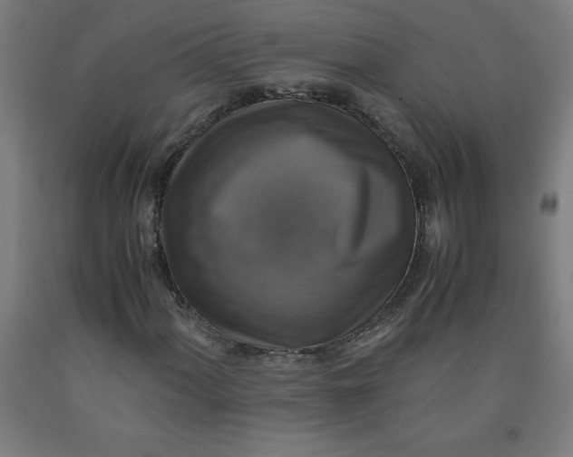 X0000091921060200709261637