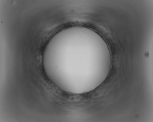 X0000091921061200709261637