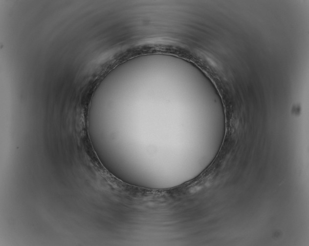 X0000091921062200709261637