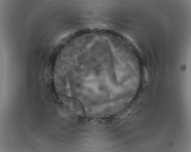 X0000091921063200709261637