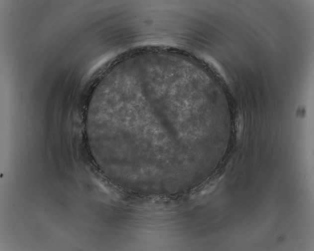 X0000091921064200709261637