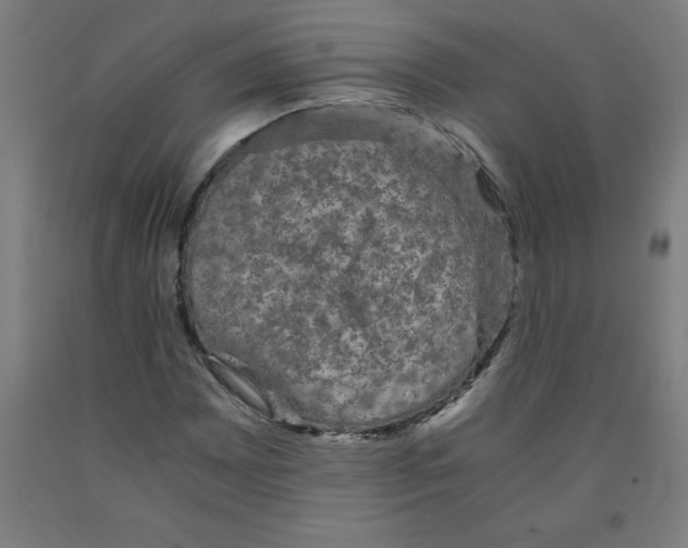 X0000091921065200709261637