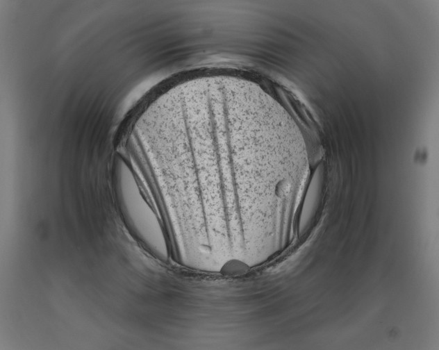 X0000091921066200709261637