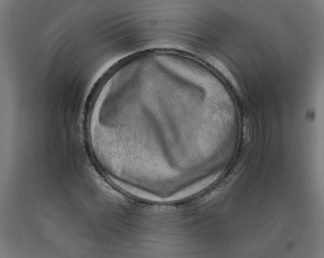 X0000091921068200709261637