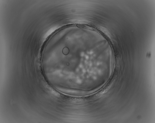 X0000091921071200709261637