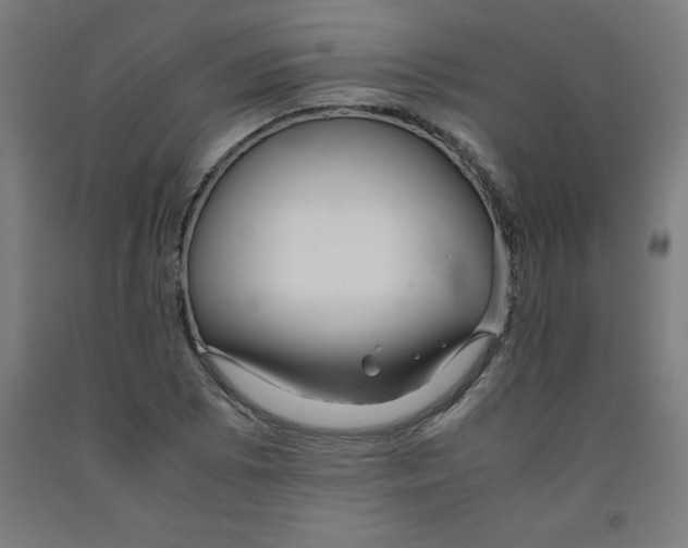 X0000091921073200709261637