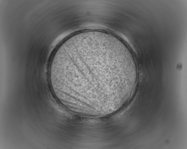 X0000091921074200709261637