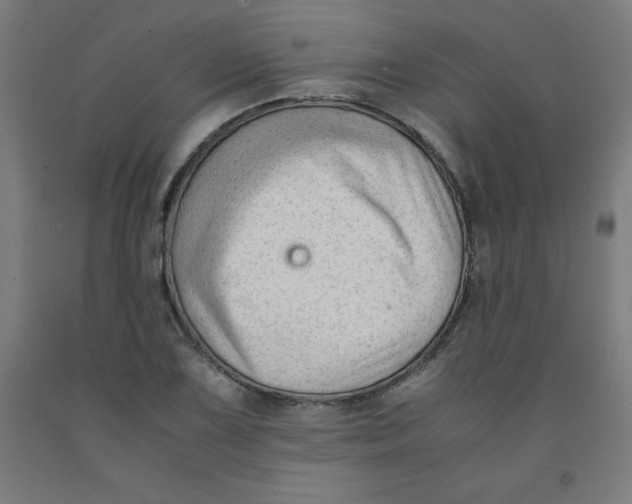 X0000091921075200709261637