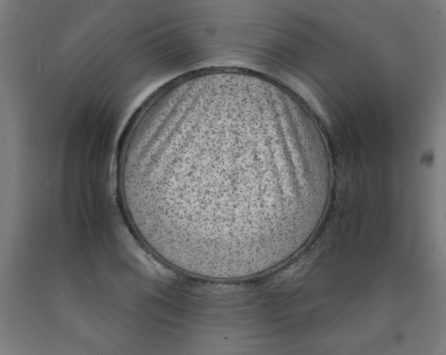 X0000091921076200709261637