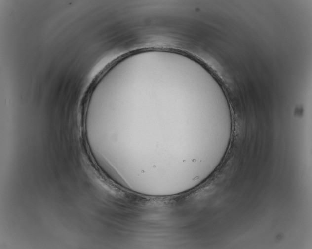 X0000091921078200709261637